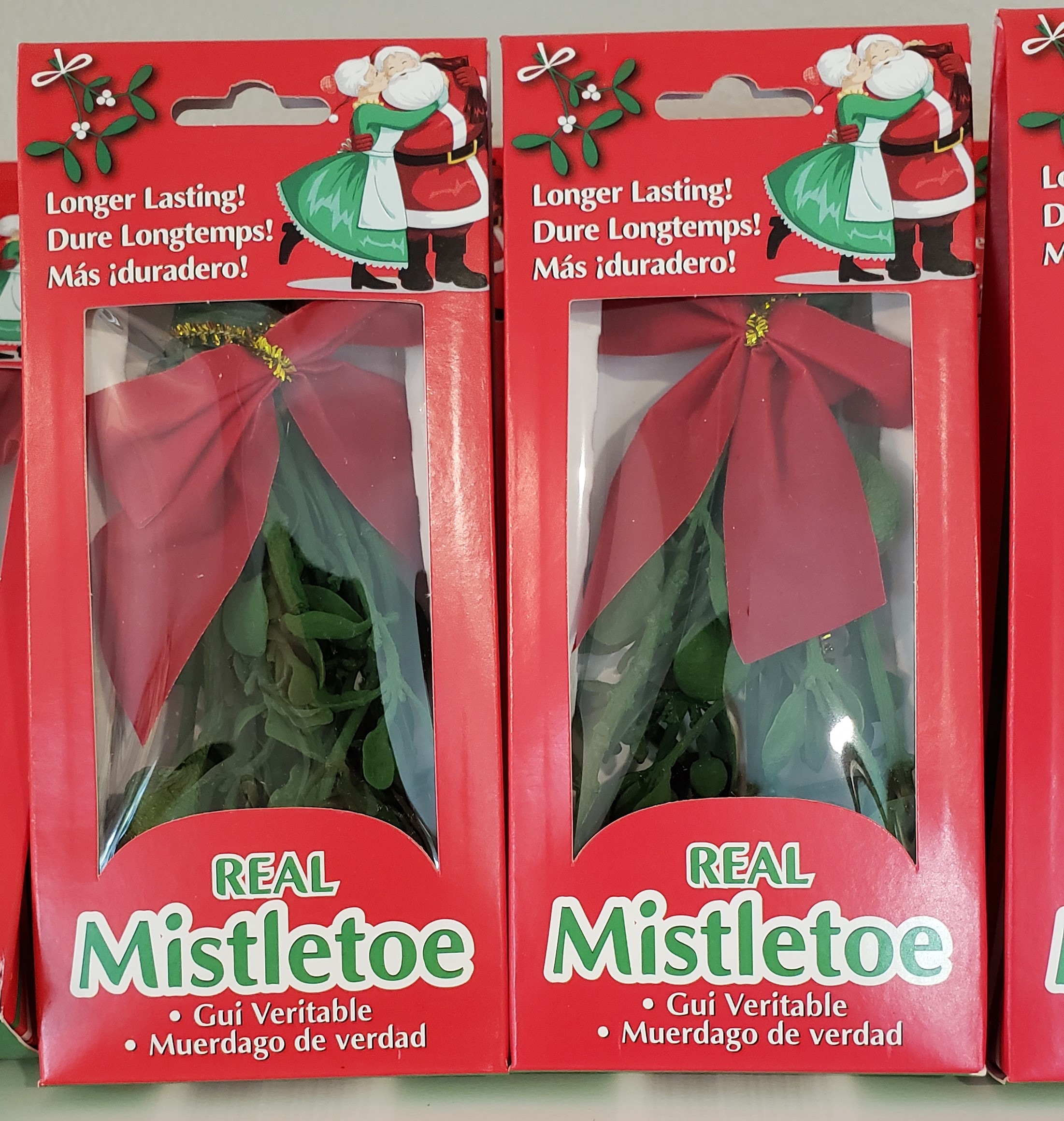 Real Mistletoe $10.00
